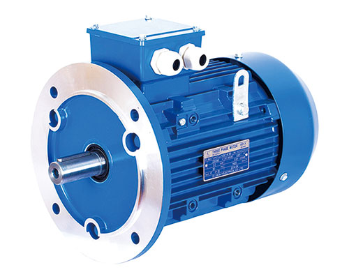 MS-series-Standard-Efficiency-Three-Phase-Motors